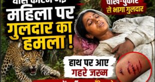 गुलदार का हमला